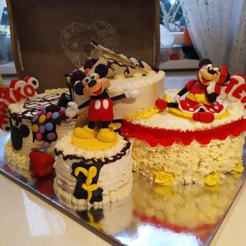 Mickey a Minnie pre dvojičky