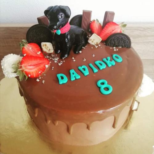 Drip torta so psíkom 