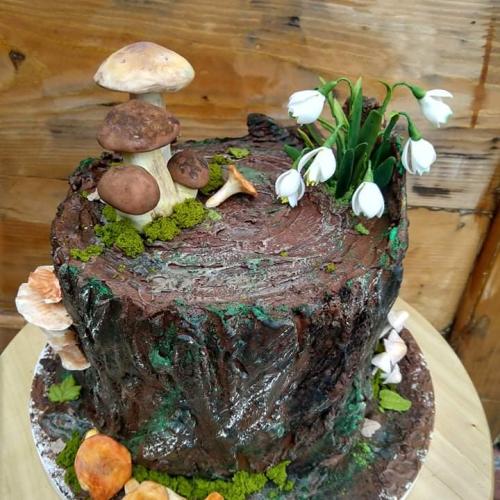 Torta pre dvoch co ľúbia zbierať huby a milujú prírodu.