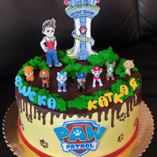 Paw patrol