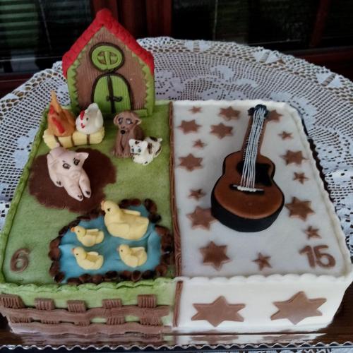 Spolocna torta pre 2 oslavencov, 6 a 15.