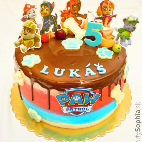 Narodeninová paw patrol