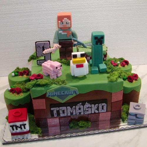 Minecraft pre Tomáška