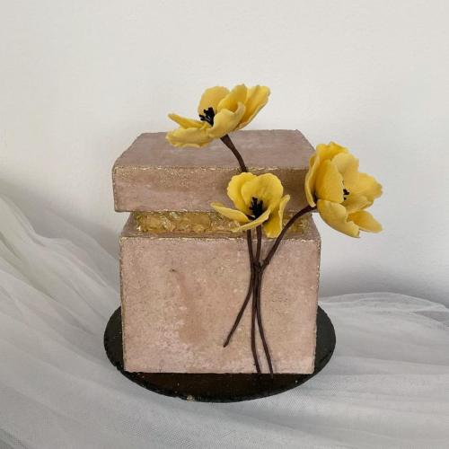 Torta do časopisu