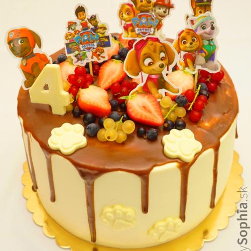 Paw patrol