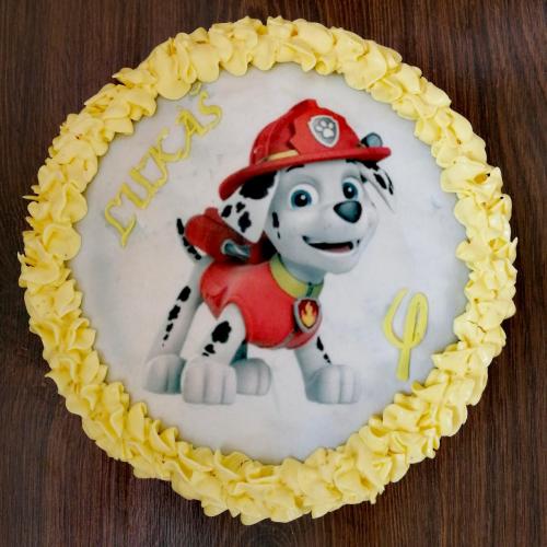 Paw Patrol 
