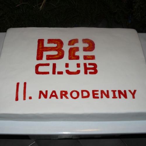 na narodeninovú párty