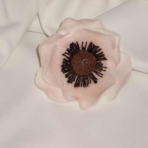 anemone rose