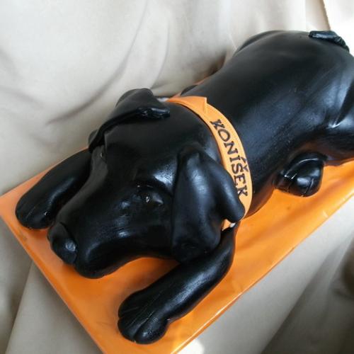 labrador