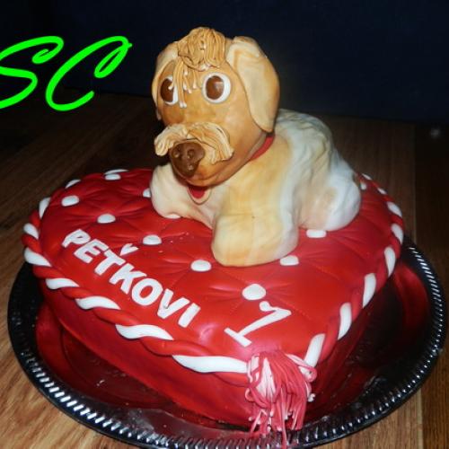 psík na vankúši