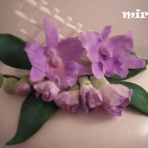 Orchidejky afrézie