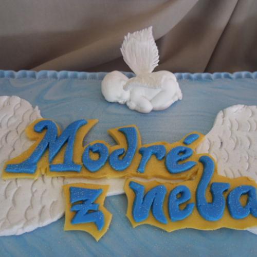 Logo -modre z neba a anjelik 