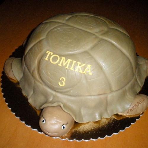 Tomiho korytnačka