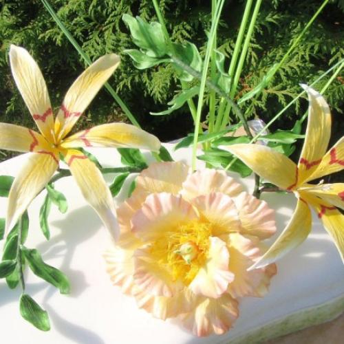 TROPIC-DETAIL