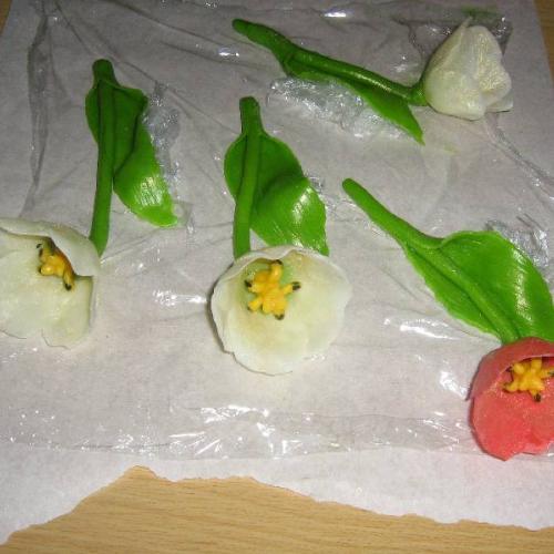 tulipány