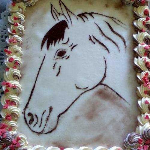 Koník