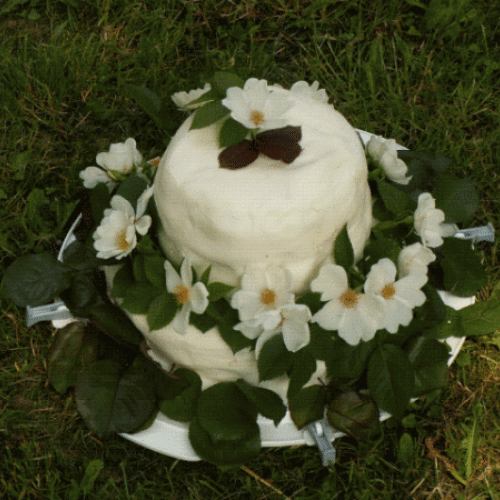 torta so zivymi ruzickami