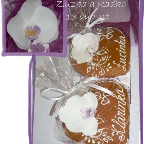 Medovníková orchidea