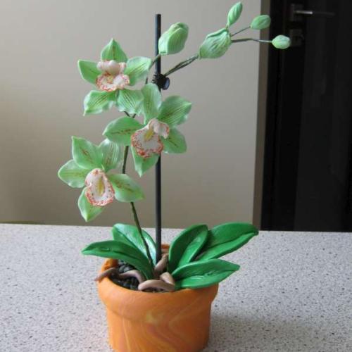 orchidea 3D