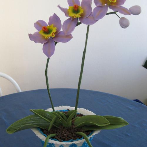 Orchidei
