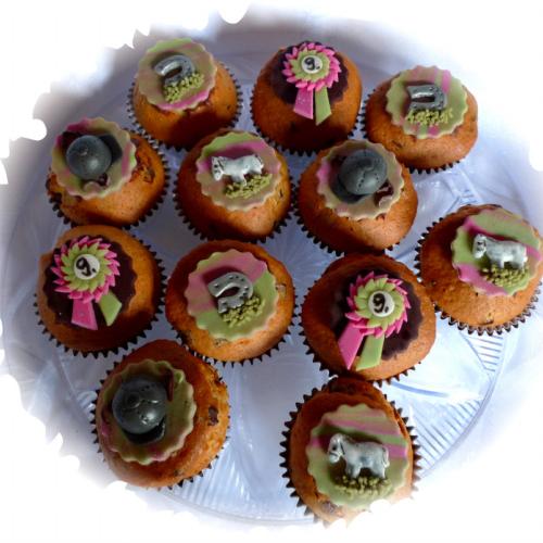 Muffiny s konom