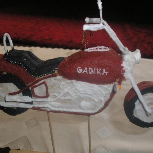medovnikova motorka