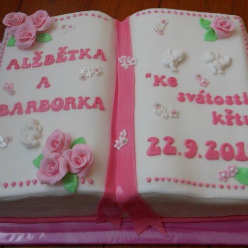 Kniha ke křtu