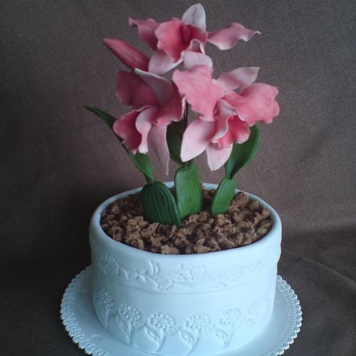 Kvetináč s orchideou
