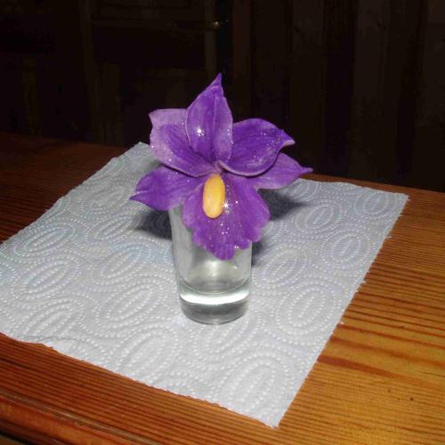 prvá orchidea na drotiku