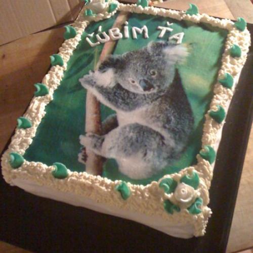 Koala na objednávku 