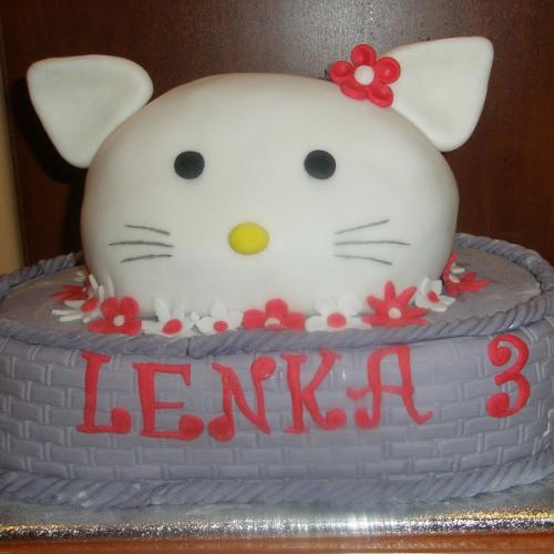 Kitty v košíku