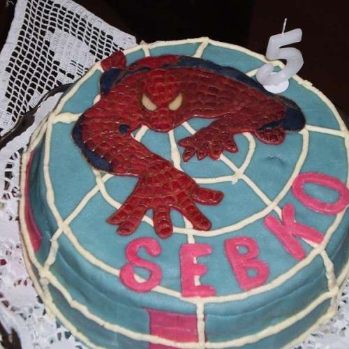 Spiderman pre Sebka