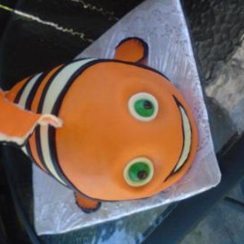 Asi 5kg rybička "Nemo"
