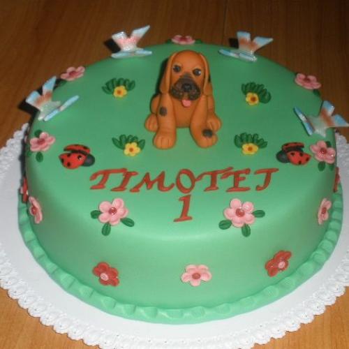 Pre Timoteja