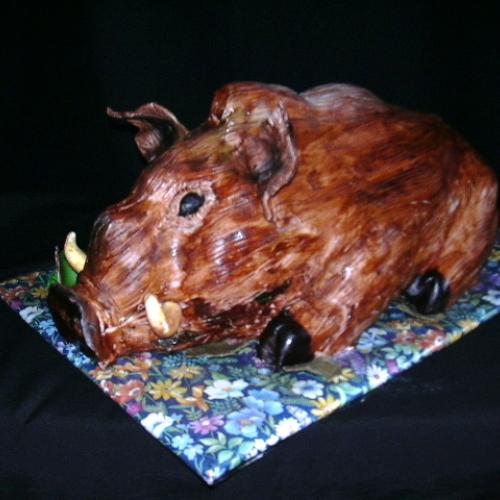 Diviak 5,3kg