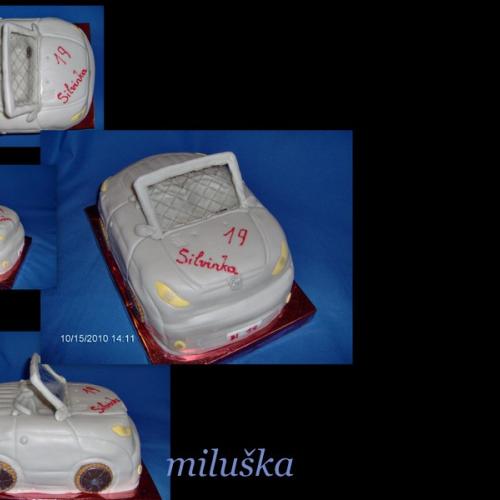 Silvinka--19--
