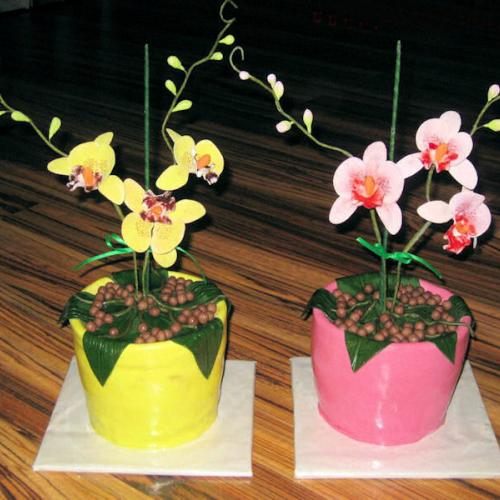 orchidejky v kvetinaci 