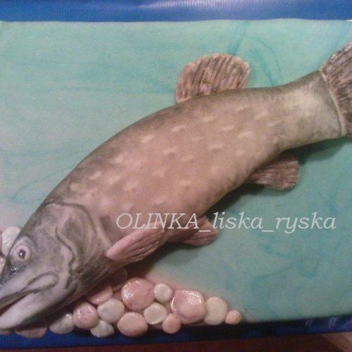 Ryba - šťuka