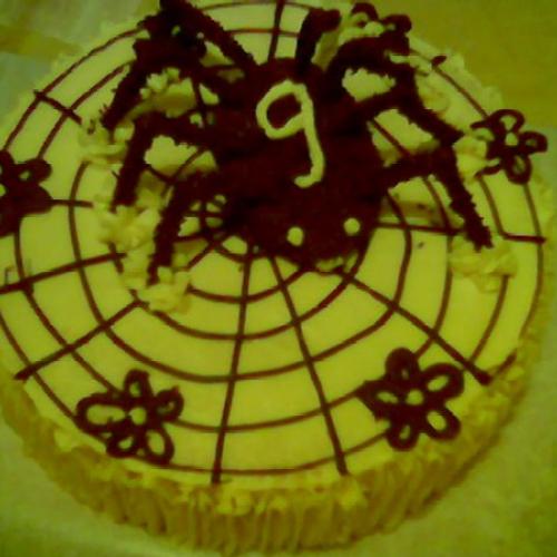 Torta PAVUK