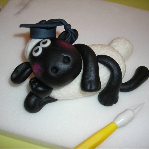 ovecka Shaun na promocie :)