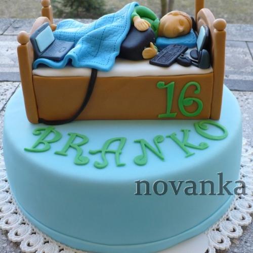 Ďalší počítačový maniak