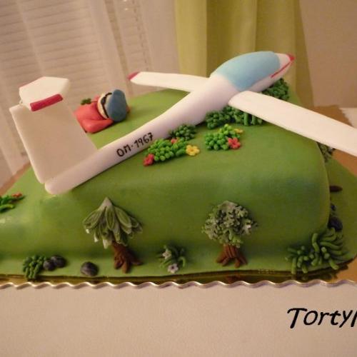 Torta letcovi