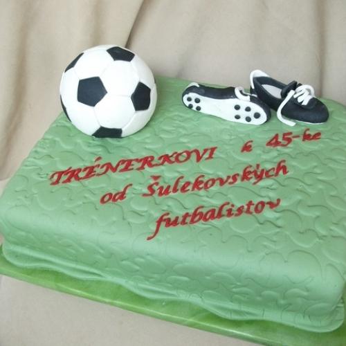 Futbalova pre trenera
