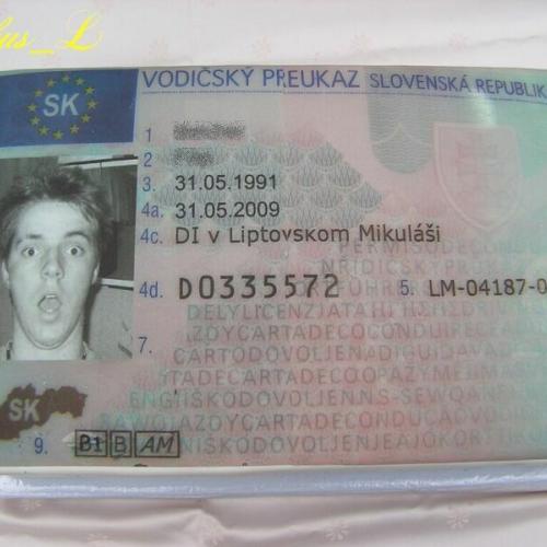 Vodičák