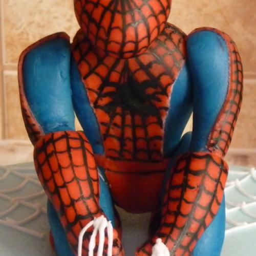 detail spidermana