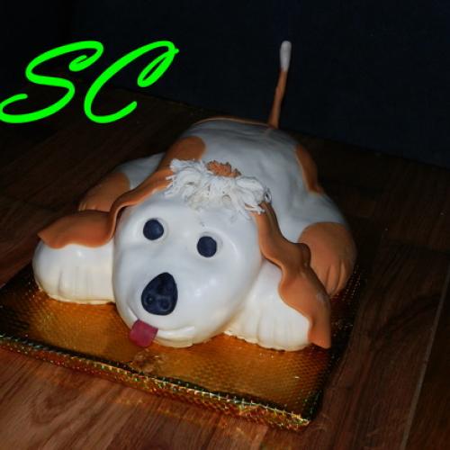 psíček