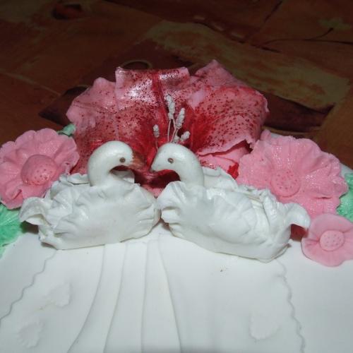 labute na torte