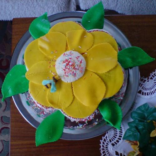 Tortyodmamy.sk