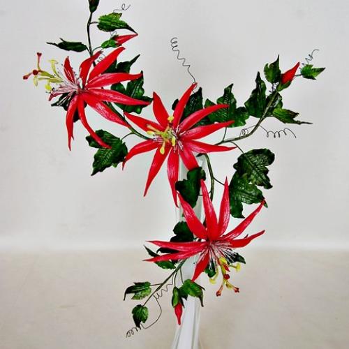 Red passionflower