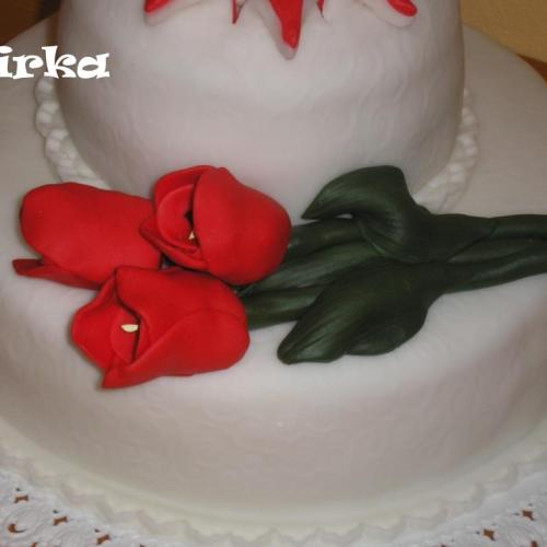 Detail tulipány